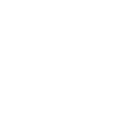 hrana en gros caini si pisici