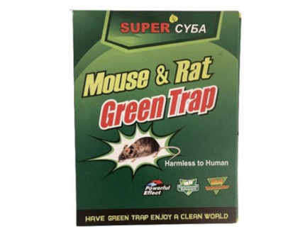 CAPCANA LIPICI PE CARTON PENTRU SOARECI