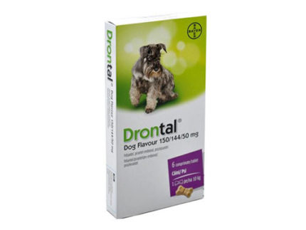 DRONTAL DOG FRAVOUR 6 TB