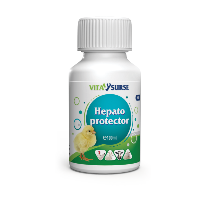  VITA SURSE Hepatoprotect