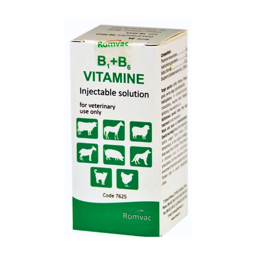 VITAMINA B1+B6 20ml