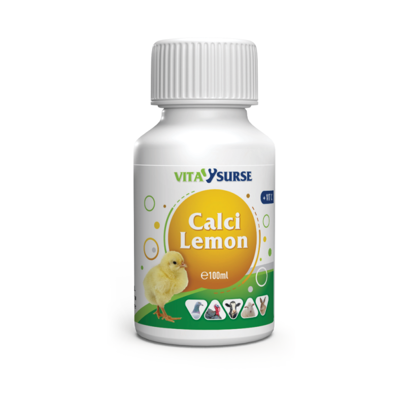 VITA SURSE Calci Lemon 100ml