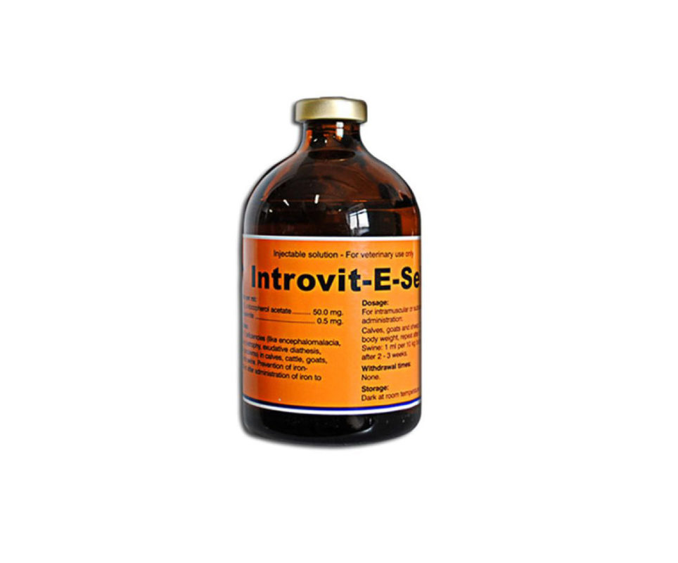 Introvit E-seleniu inj 100 ml