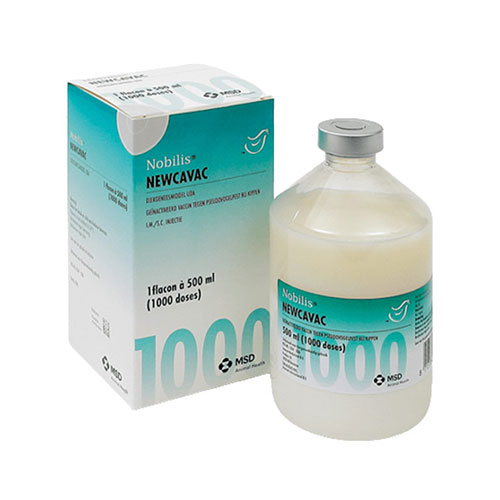 NOBILIS NEWCAVAC 1000 DZ