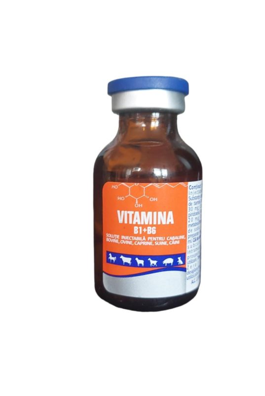 VITAMINA B1+B6 20 ML