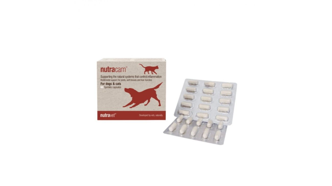 NUTRAVET NUTRACAM CAINI - PISICI 60 COMPRIMATE