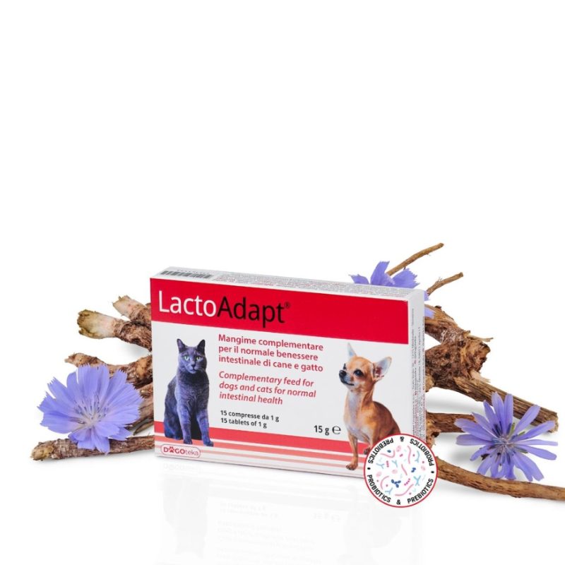 Dogoteka Lacto Adapt 60cps