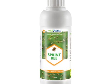 SPRINT BEE 1L - Energie, Protectie, Imunitate