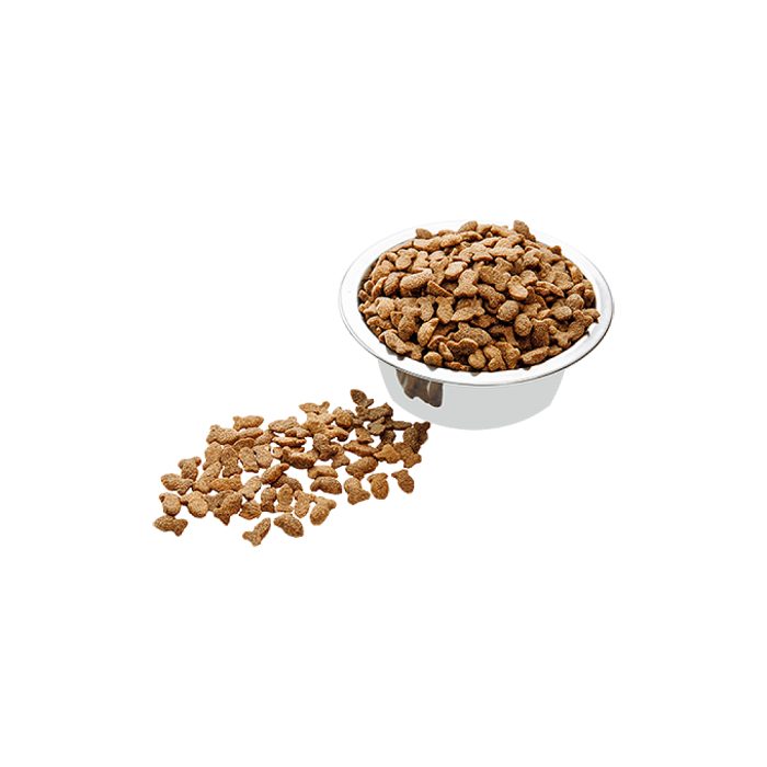 Hrana uscata pentru Pisici Wise Cat - Peste 400g - imagine 2